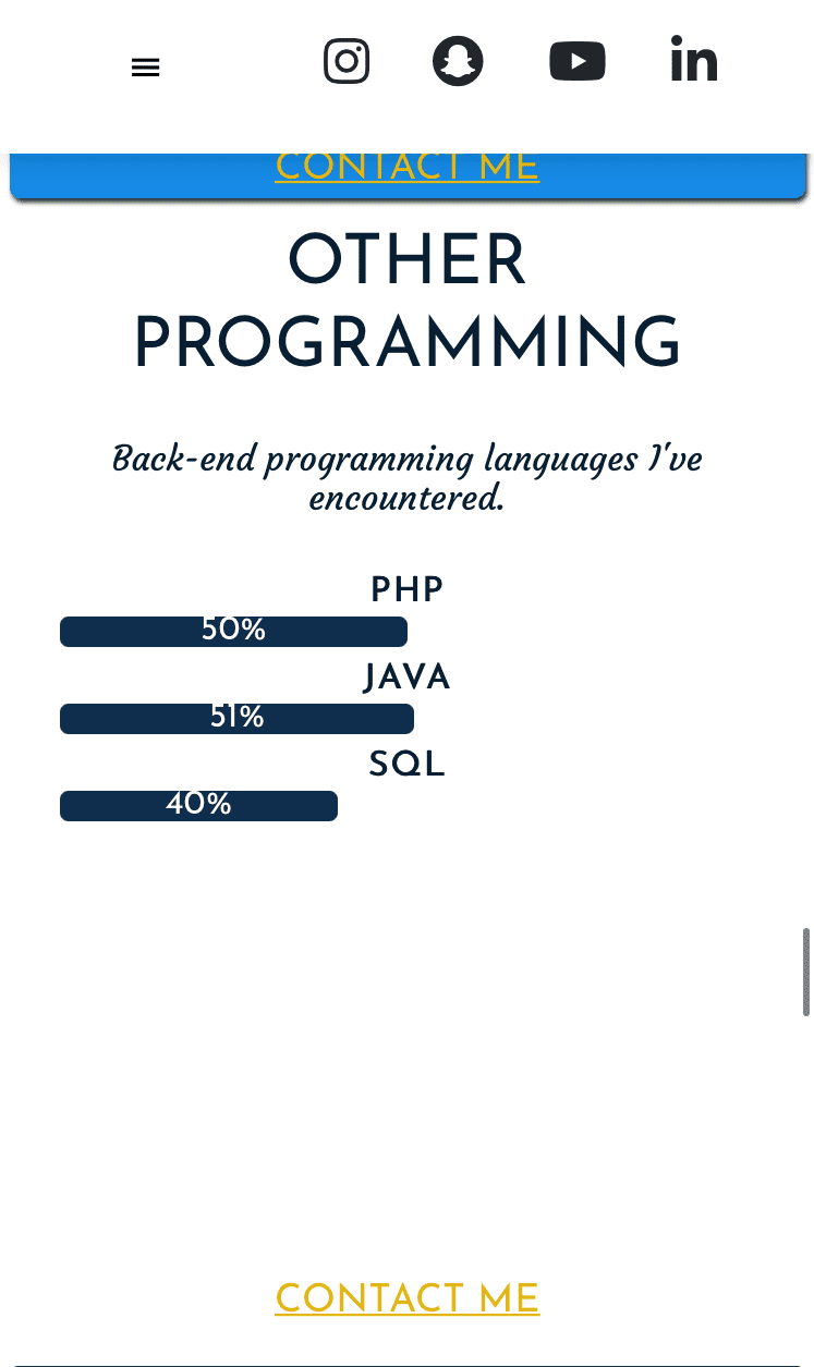 Skills Other Programming-Responsive